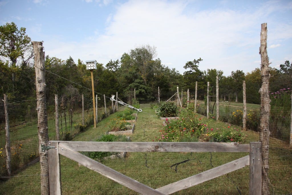 LaBarque Campus_ Gardens