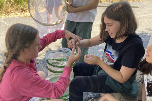 Top Private School in St. Louis for Experiential Learning (Preschool–8th Grade)