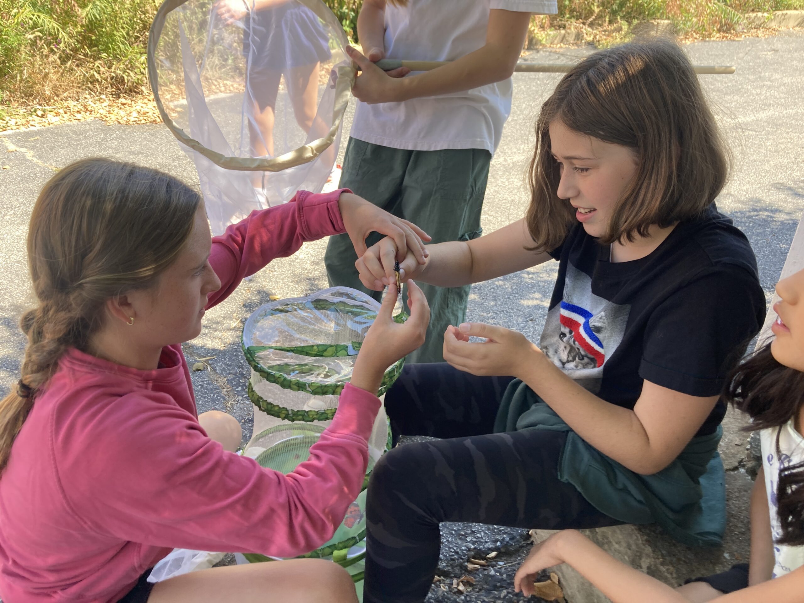 Top Private School in St. Louis for Experiential Learning (Preschool–8th Grade)