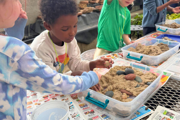 Private School vs Public School: What's the Difference for Your Child?